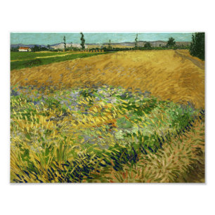 Vincent van Gogh - Wheatfield Fotodruck