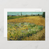 Vincent Van Gogh, Wheatfield, Korenveld Postkarte (Vorne/Hinten)