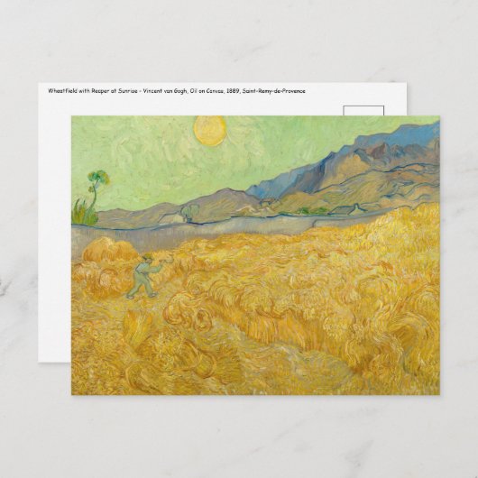 Vincent van Gogh - Wheatfield mit einem Sensenmann Postkarte (Vorne/Hinten)