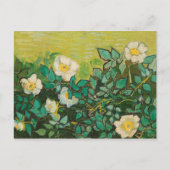 Vincent Van Gogh Wild Rose Kunst und Kunst Postkarte (Vorderseite)