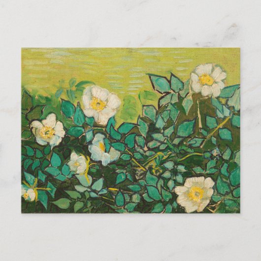 Vincent Van Gogh Wild Rose Kunst und Kunst Postkarte (Vorderseite)