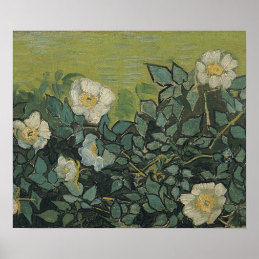 Vincent Van Gogh - Wilde Rose April, Mai Poster (Vorne)