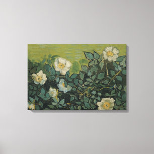Vincent van Gogh - Wilde Rose Leinwanddruck