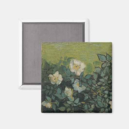 Vincent van Gogh - Wilde Rose Magnet (Vorderseite/Rückseite)