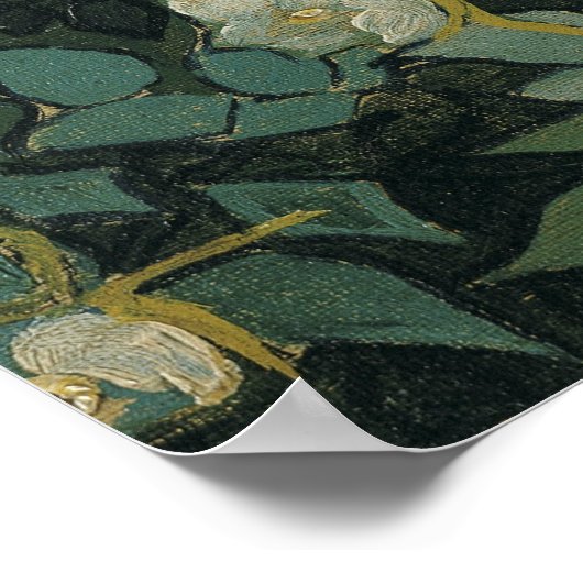 Vincent van Gogh - Wilde Rose Poster (Ecke)