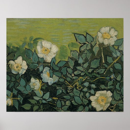 Vincent van Gogh - Wilde Rose Poster (Vorne)