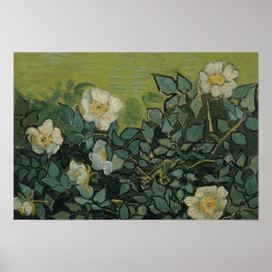 Vincent van Gogh - Wilde Rose Poster (Vorne)