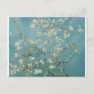 Vincent Van Gogh Zweige von Almond Tree Postkarte