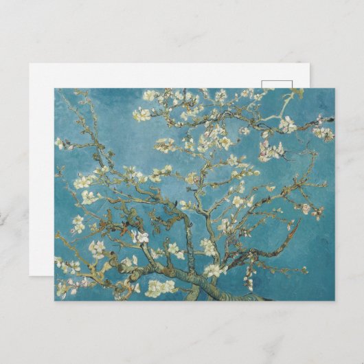 Vincent van Gogh's Almond-Blüte Postkarte (Vorne/Hinten)