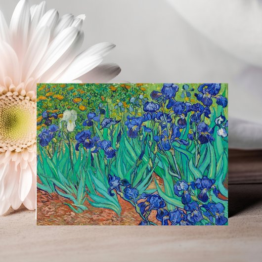 Vincent van Gogh's Ire Postcard Postkarte