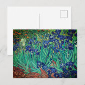 Vincent van Gogh's Ire: Postkarte (Vorne/Hinten)