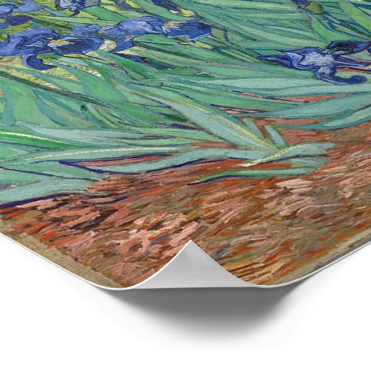 Vincent Van Gogh's Irises. Poster (Ecke)