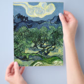Vincent van Gogh's Olive Trees (1889) Flyer (Hand)