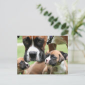 Vindy and Pups - Foto 09 Postkarte (Stehend Vorderseite)