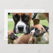 Vindy and Pups - Foto 09 Postkarte (Vorne/Hinten)