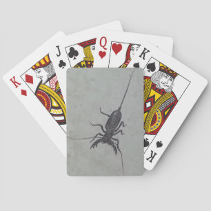 Vinegaroon Spielkarten