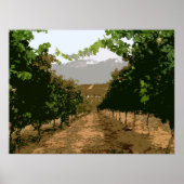 VINEYARD 3 POSTER (Vorne)
