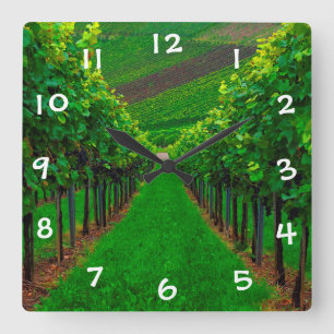 Vineyard Quadratische Wanduhr