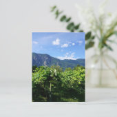 Vineyard South BC, Kanada Postkarte (Stehend Vorderseite)