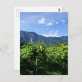 Vineyard South BC, Kanada Postkarte (Vorne/Hinten)