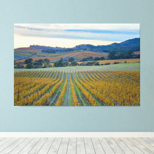 Vineyard Sunset Leinwanddruck (Insitu (Holzboden))