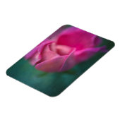 Vining Geranium Bud, Digitally Altered Magnet (Linke Seite)
