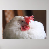 Vinnie Poster (Vorne)