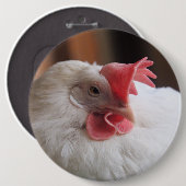 Vinny Button (Vorne & Hinten)