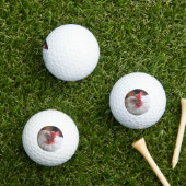 Vinny Golfball (Insitu Gras)