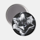 Vinny Magnet (Vorderseite/Rückseite)