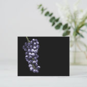 vino de la muerte postkarte (Stehend Vorderseite)