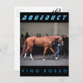 Vino Rosso - Todd Pletcher Postkarte (Vorne/Hinten)