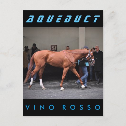 Vino Rosso - Todd Pletcher Postkarte (Vorderseite)