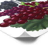 Vino vor Vows Floral Brautparty Willkommen Poster (Ecke)