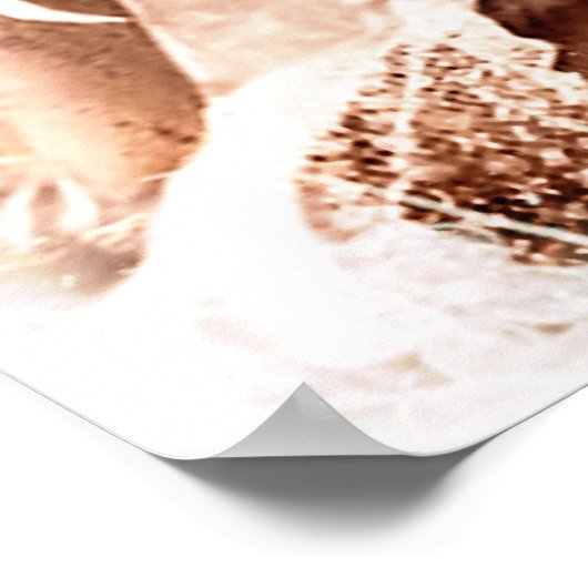 Vintag14 Poster (Ecke)