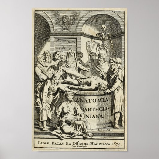 Vintag 1686 Anatomie-Bildung drucken Poster (Vorne)