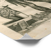 Vintag 1741 Muskelanatomie Druck Poster (Ecke)