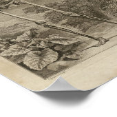 Vintag 1749 Skelettanatomie Druck Poster (Ecke)