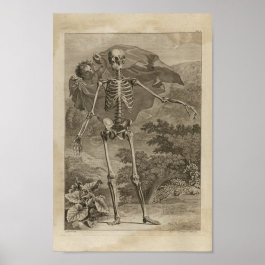 Vintag 1749 Skelettanatomie Druck Poster (Vorne)