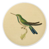 Vintag 1830 Hummingbird Drawer Knob Keramikknauf (Vorderseite)