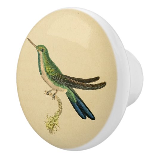 Vintag 1830 Hummingbird Drawer Knob Keramikknauf (Rechts)