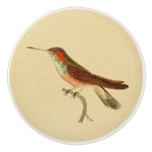 Vintag 1830 Hummingbird Drawer Knob Keramikknauf (Vorderseite)