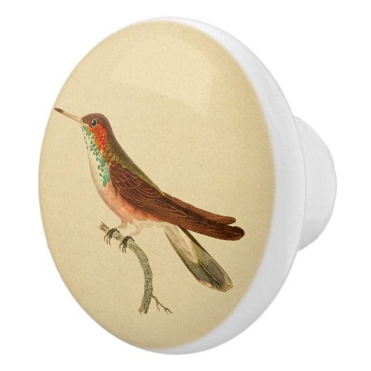 Vintag 1830 Hummingbird Drawer Knob Keramikknauf (Rechts)