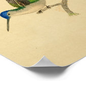Vintag 1830 Hummingbird Print Blue Green Poster (Ecke)