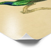 Vintag 1830 Hummingbird Print Green Blue Fotodruck (Ecke)