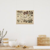 Vintag 1831 Mushroom Variety Brown Cap Print Poster (Küche)