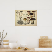 Vintag 1831 Mushroom Variety Brown Cap Print Poster (Küche)