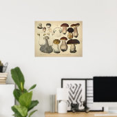 Vintag 1831 Mushroom Variety Brown Cap Print Poster (Heimbüro)