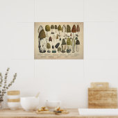 Vintag 1831 Mushroom Variety Green Brown Print Poster (Küche)