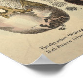 Vintag 1831 Mushroom Variety Green Red Print Poster (Ecke)